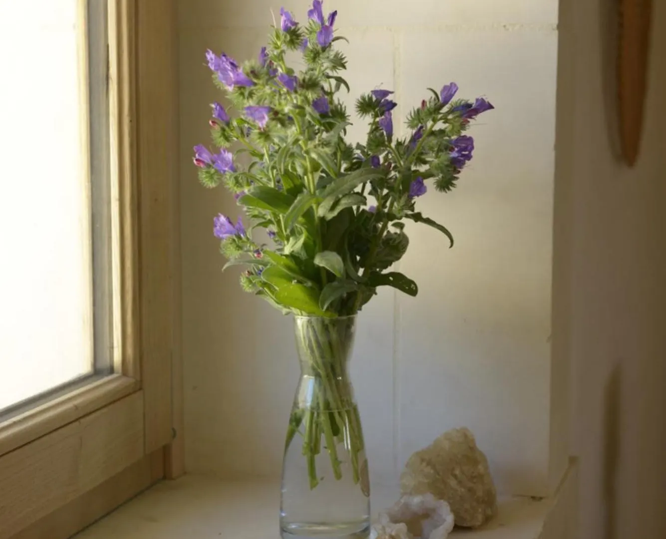 Casa Imayah Charming B&B Noto Italy