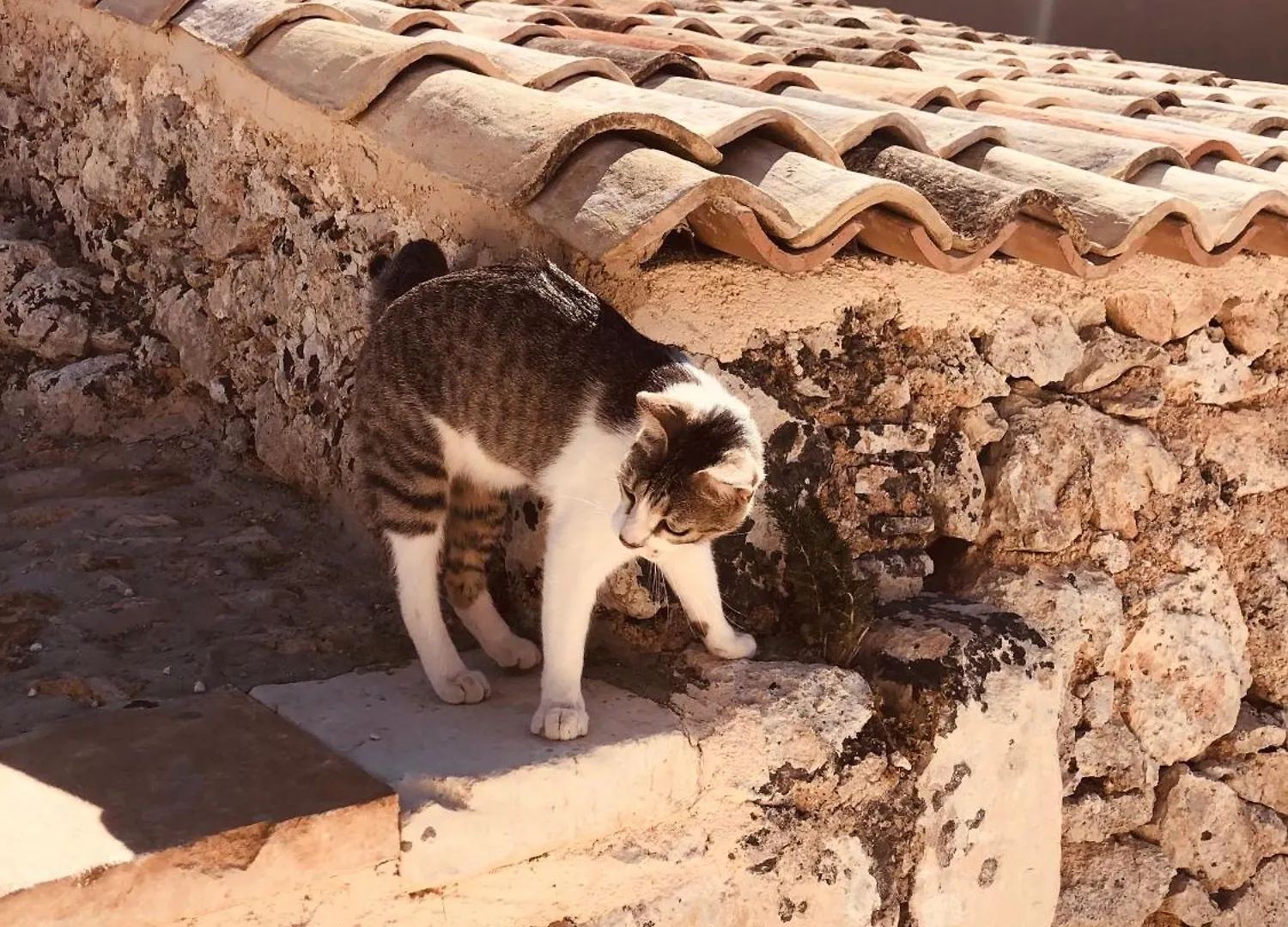 Bed & Breakfast Casa Imayah Charming B&B Noto